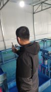 甘肃长安伟业贸易有限公司